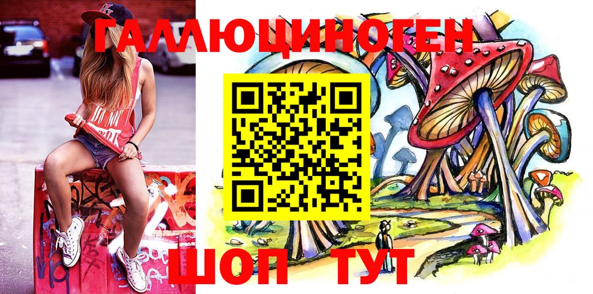 Галлюциногенные грибы Psilocybe Ступино